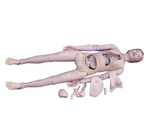 High Quality Nurse Training Doll (Female)